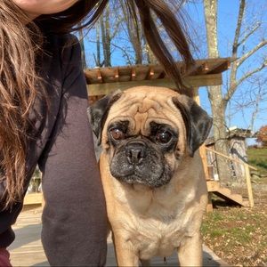 Meet your Posher, Megan